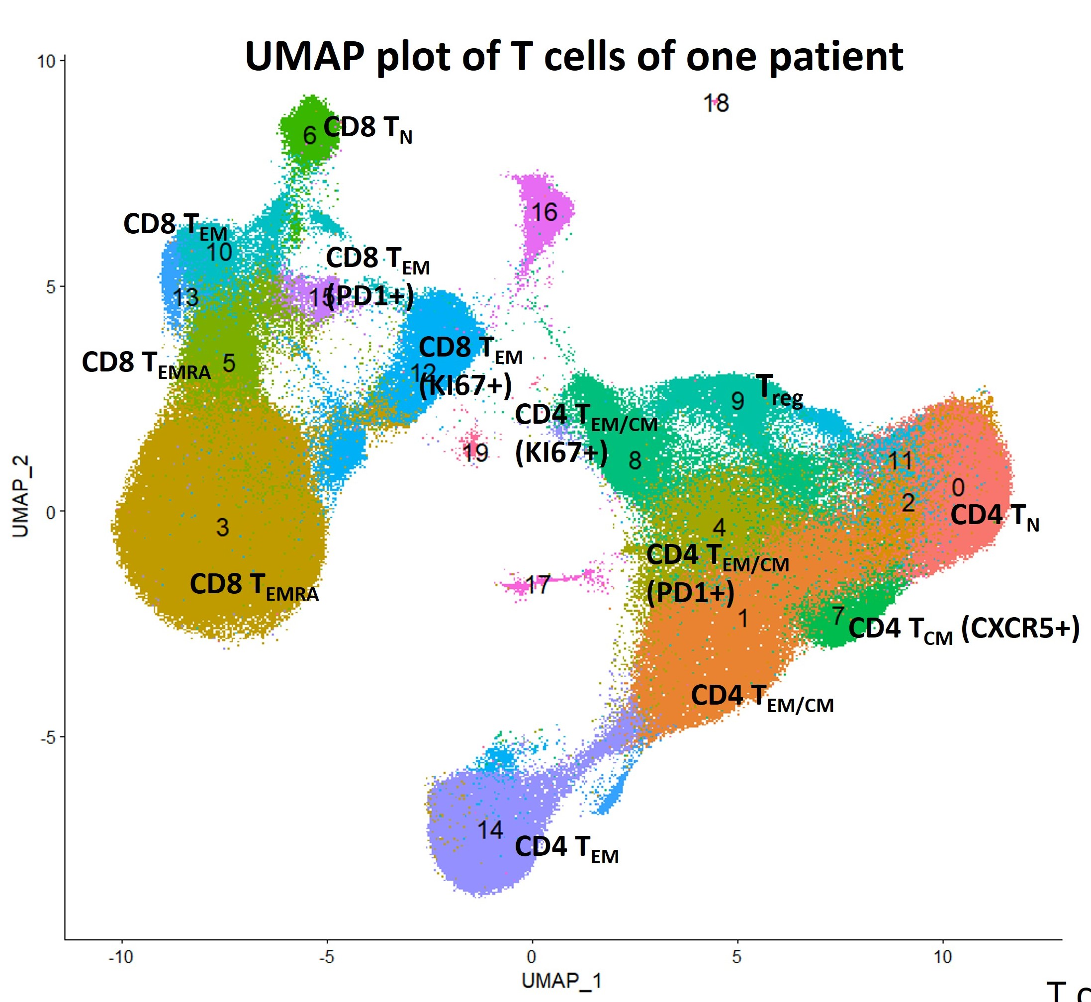 T cells of a single patient